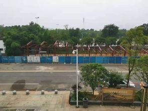 岳阳最新爆料,揭秘神秘事件背后的真相  第1张