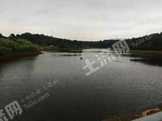 长沙水库爆料最新消息今天,最新爆料揭示惊人真相 第3张 长沙水库爆料最新消息今天,最新爆料揭示惊人真相 第3张